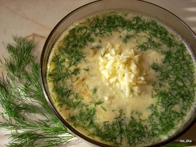 Zupa cukiniowa Zupa cukiniowa