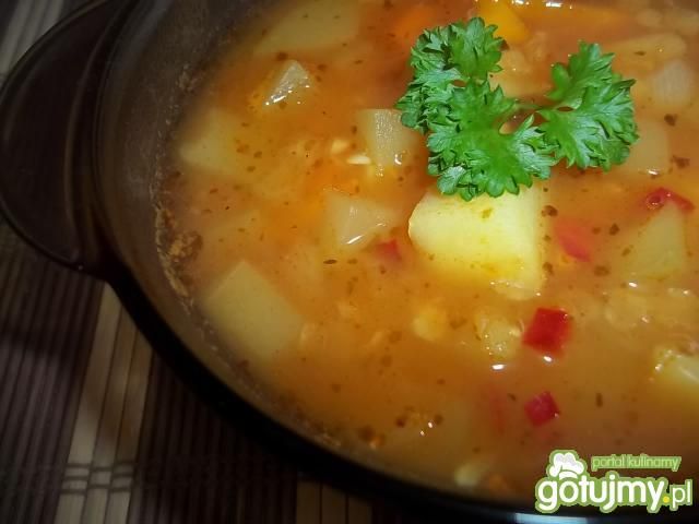 Zupa cukiniowa z soczewicą Zupa cukiniowa z soczewicą