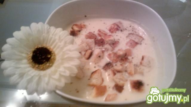 Zupa czosnkowa krem gina :)