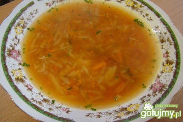 Zupa gargula Zupa gargula