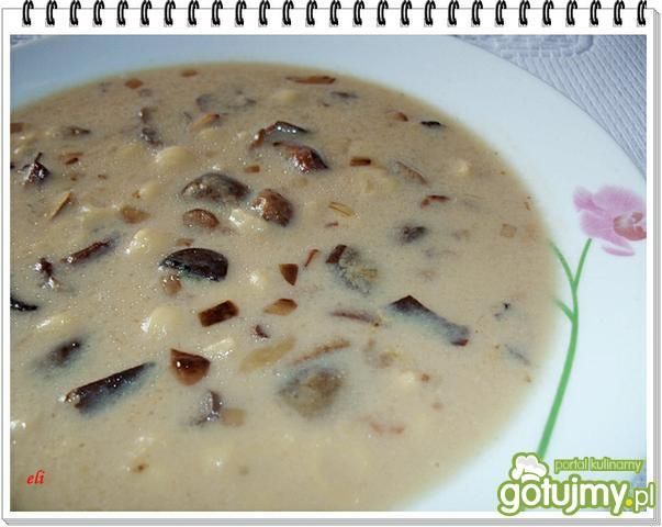 Zupa grzybowa 2 Eli