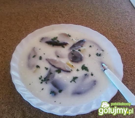 Zupa grzybowa
