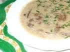 Zupa grzybowa