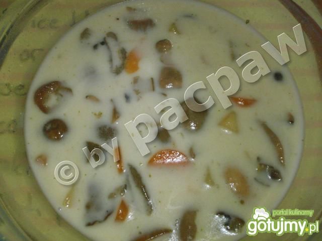 Zupa grzybowa 