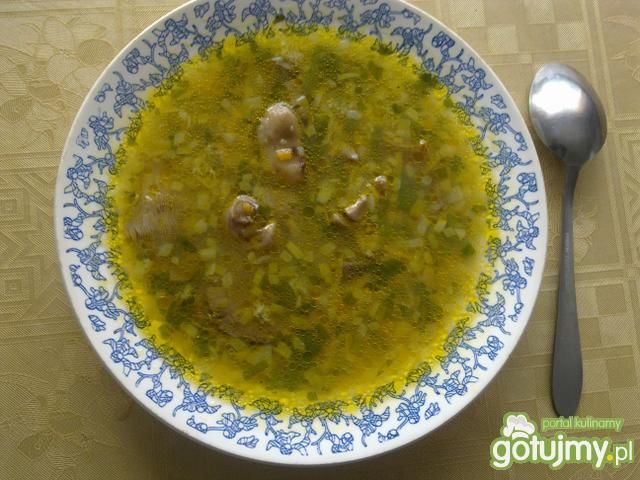 Zupa Grzybowa Zupa Grzybowa