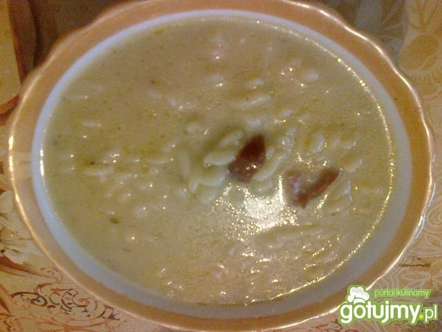 Zupa grzybowa 9 Zupa grzybowa 9