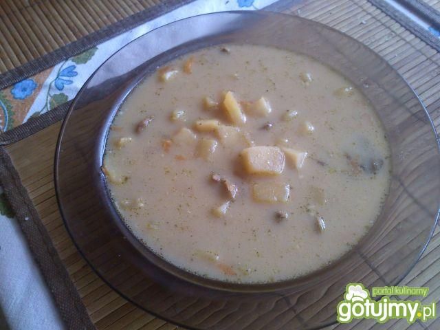 Zupa grzybowa Mariel