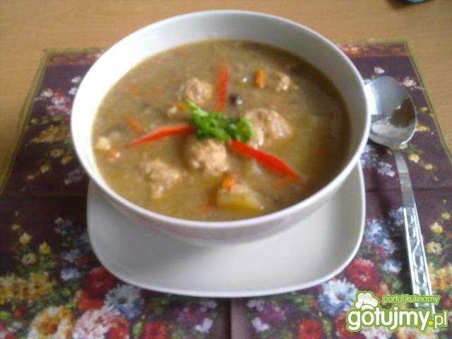 Zupa grzybowa z klopsikami