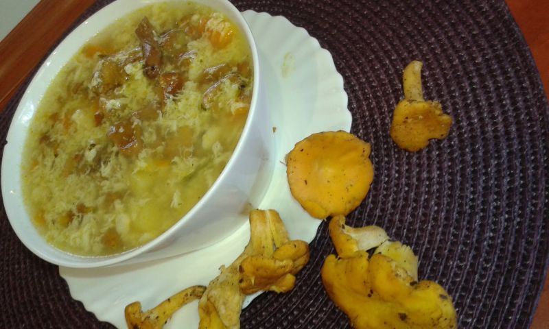 Zupa grzybowa z kurek Zupa grzybowa z kurek