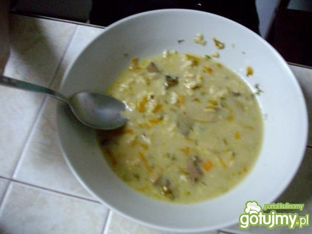 zupa grzybowa z lanym ciastem
