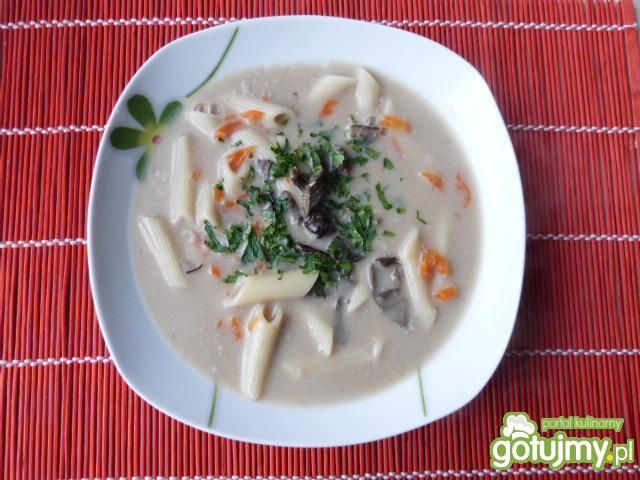 Zupa grzybowa z makaronem