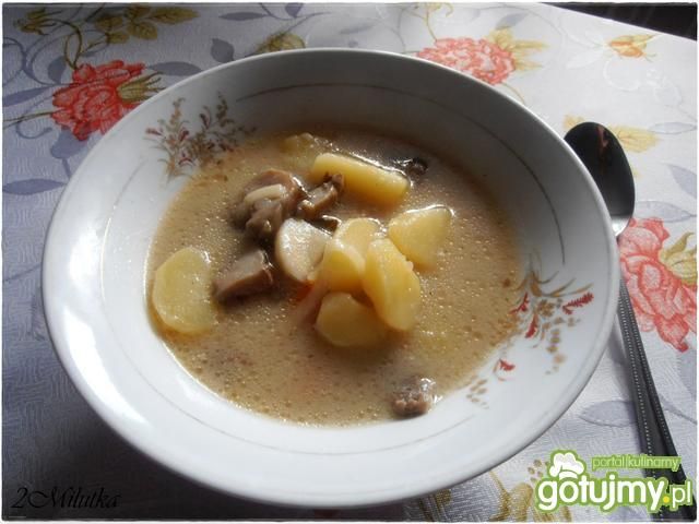Zupa grzybowa z maślaczków Zupa grzybowa z maślaczków