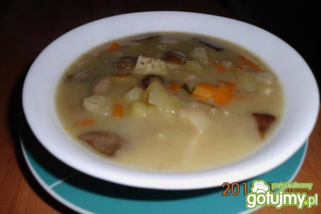 Zupa grzybowa z maślaków