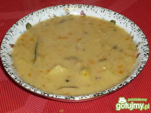 Zupa grzybowa z mięsem i warzywami Zupa grzybowa z mięsem i warzywami