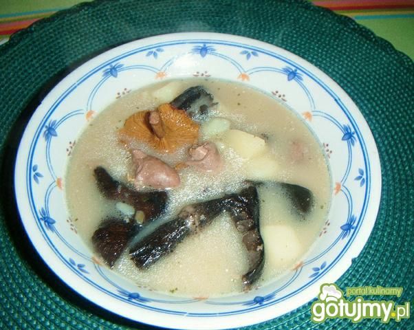 Zupa grzybowa z podrobami Zupa grzybowa z podrobami