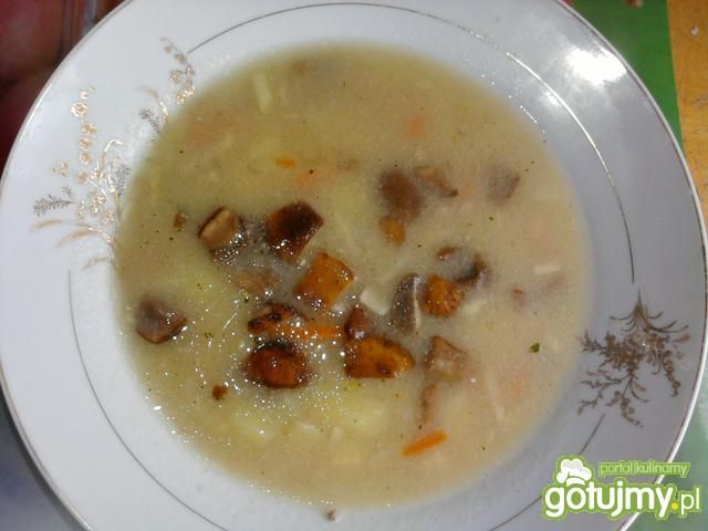 Zupa grzybowa z suszonych grzybów z ziem