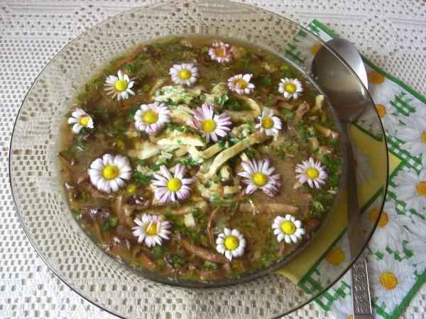 Zupa grzybowa ze stokrotkami 