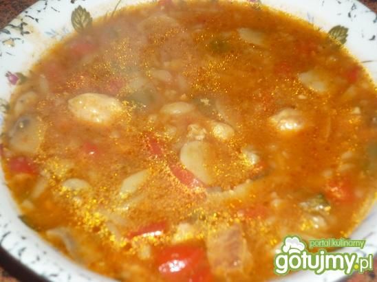 Zupa gulaszowa z makaronem i papryką