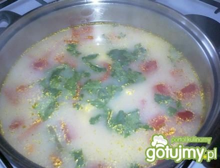 Zupa jarzynowa 2. Zupa jarzynowa 2.