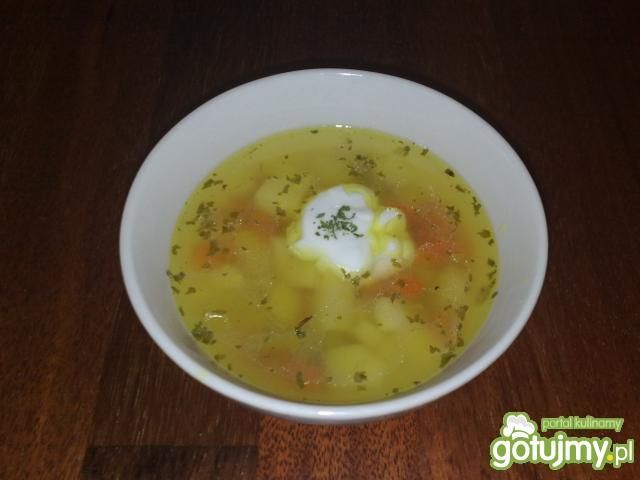 Zupa jarzynowa Zupa jarzynowa