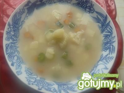 Zupa jarzynowa 5 Zupa jarzynowa 5