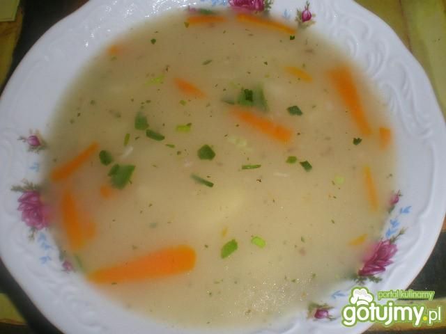 Zupa jarzynowa Zupa jarzynowa