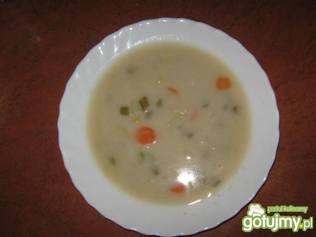 Zupa jarzynowa Zupa jarzynowa