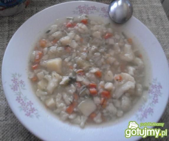 Zupa jarzynowa wg Madiji