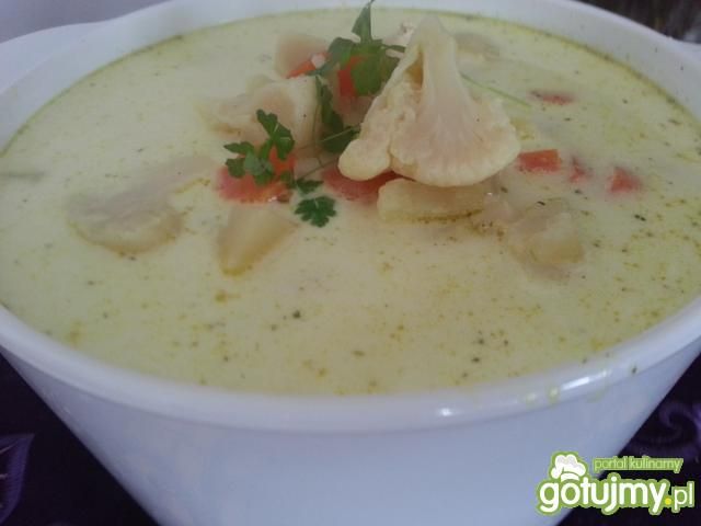 Zupa jarzynowa z kurczakiem 2 Zupa jarzynowa z kurczakiem 2