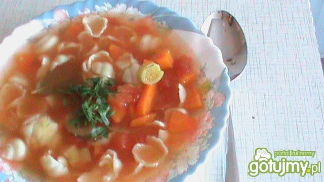 Zupa jarzynowa z makaronem Zupa jarzynowa z makaronem