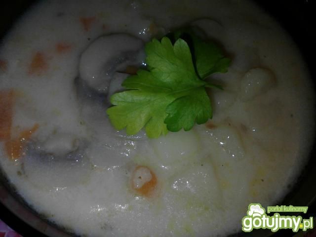Zupa jarzynowa z pieczarkami 3 Zupa jarzynowa z pieczarkami 3