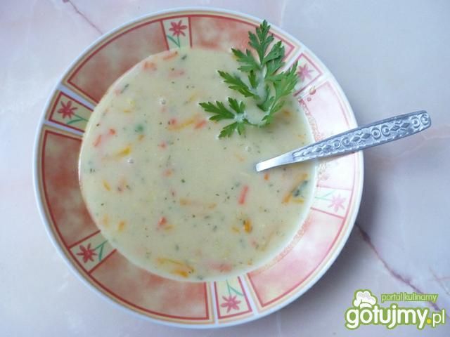 Zupa jarzynowa ze śmietaną Zupa jarzynowa ze śmietaną