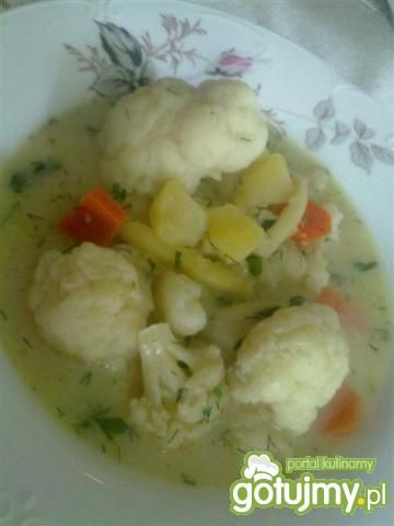 Zupa jarzynowa/kalafiorowa