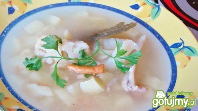 Zupa kalafiorowa 15 Zupa kalafiorowa 15