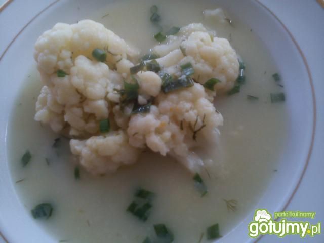 Zupa kalafiorowa wg Triss Zupa kalafiorowa wg Triss