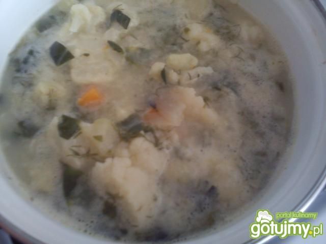 Zupa kalafiorowa wg Triss