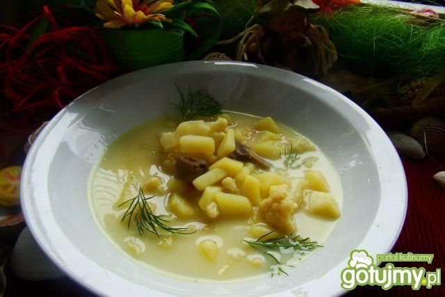 Zupa kalafiorowa z pieczarkami  Zupa kalafiorowa z pieczarkami