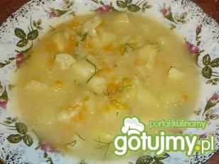 Zupa kalafiorowa z warzywami Zupa kalafiorowa z warzywami