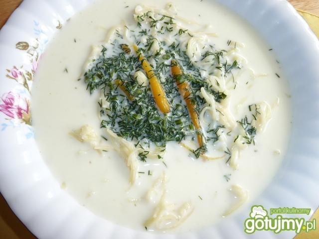 Zupa koperkow  z makaronem Zupa koperkow  z makaronem