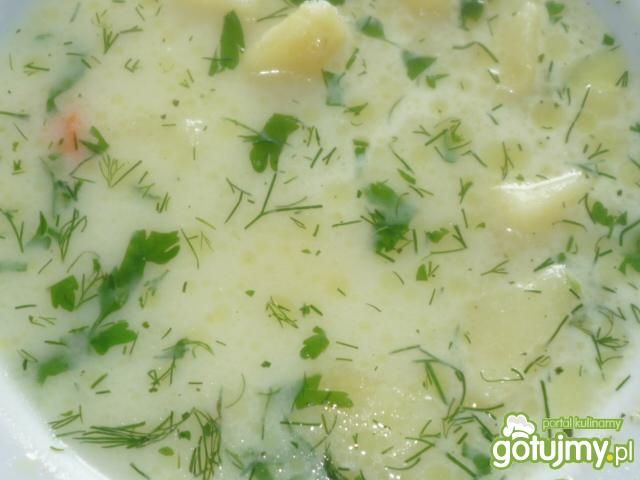 Zupa koperkowa Zupa koperkowa