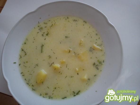Zupa koperkowa  Zupa koperkowa
