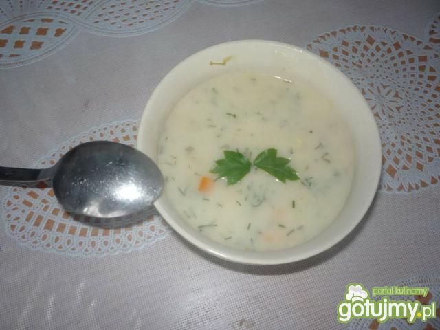 Zupa koperkowa