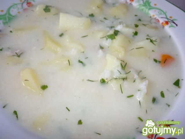 Zupa koperkowa Zupa koperkowa