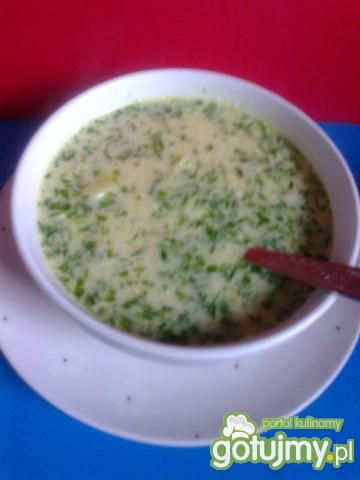 zupa koperkowa z młodymi kartoflami 