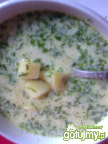 zupa koperkowa z młodymi kartoflami 
