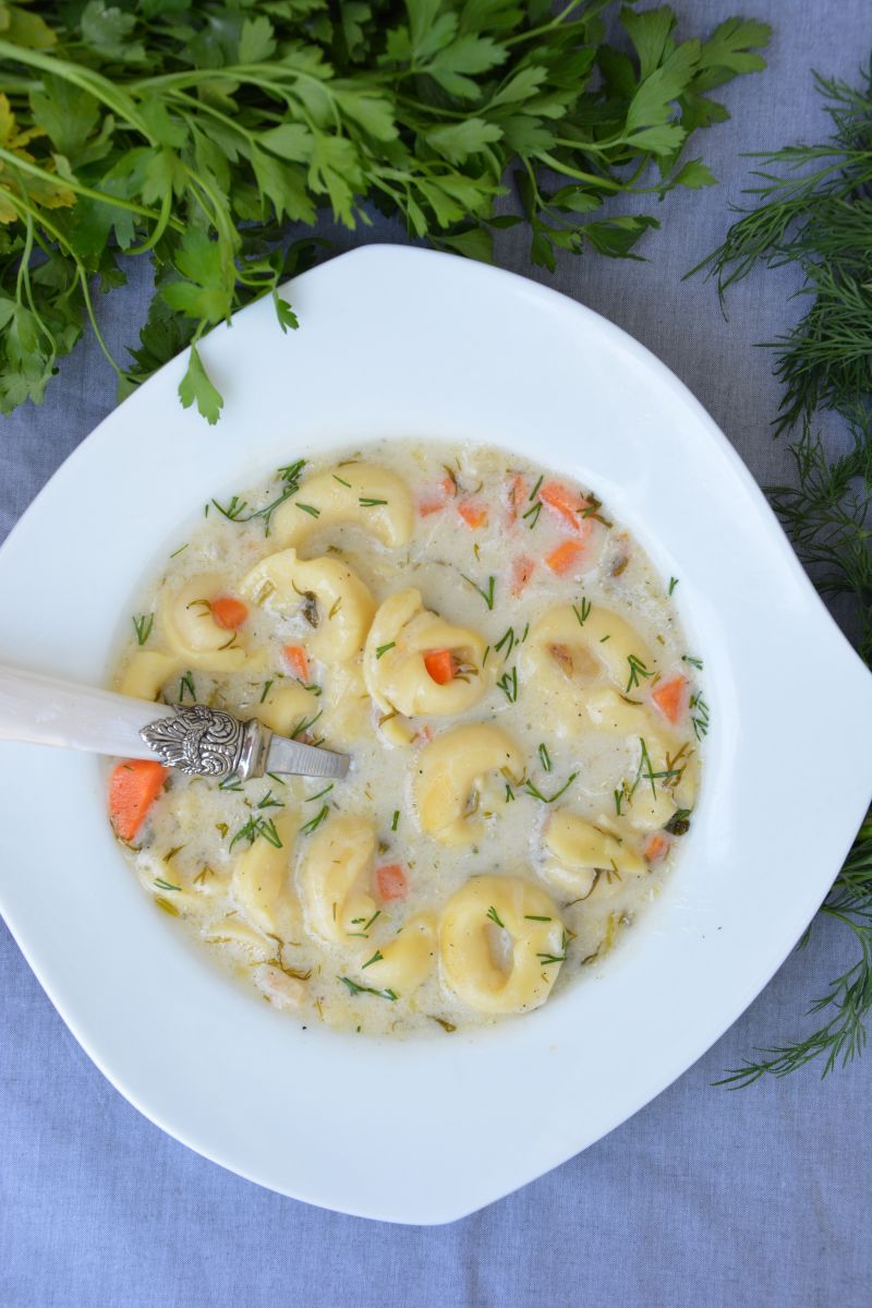 Zupa koperkowa z tortellini 