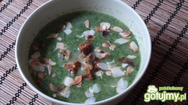 Zupa krem brokułowo -szpinakowa Zupa krem brokułowo -szpinakowa