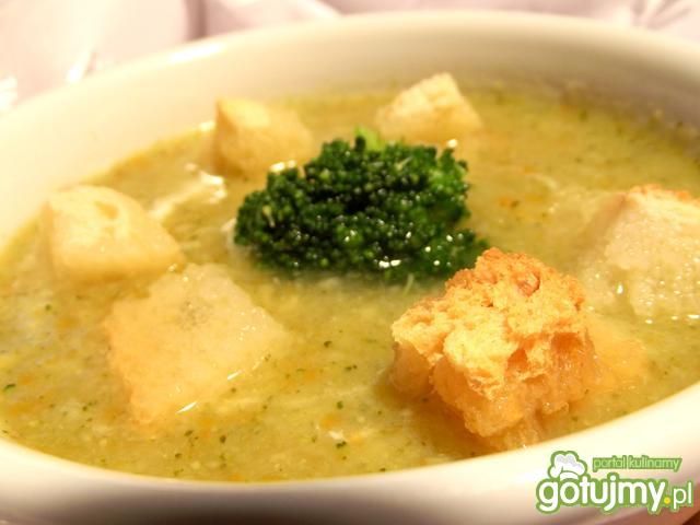 Zupa krem z Brokułem