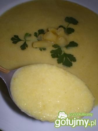 Zupa krem z fasolki szparagowej Zupa krem z fasolki szparagowej
