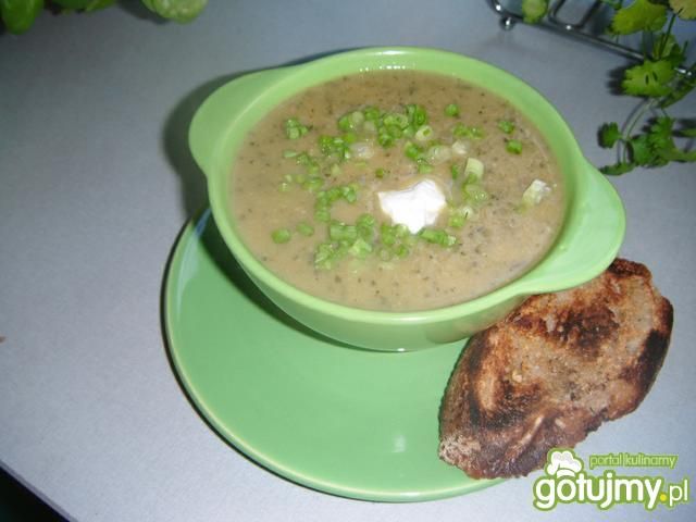 Zupa - krem z grillowanej cukini